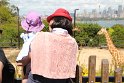 IMG_2666