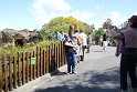 IMG_2667