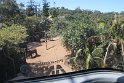 IMG_2681