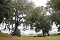 IMG_4620