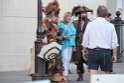 IMG_4254