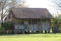 IMG_4313