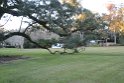 IMG_4320