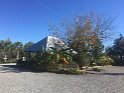 IMG_4453