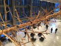 IMG_4213