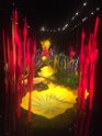 IMG_4276