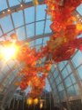 IMG_4296