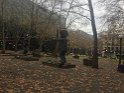 IMG_4335