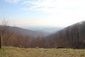 IMG_4831
