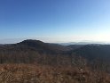 IMG_5410