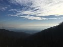 IMG_5444