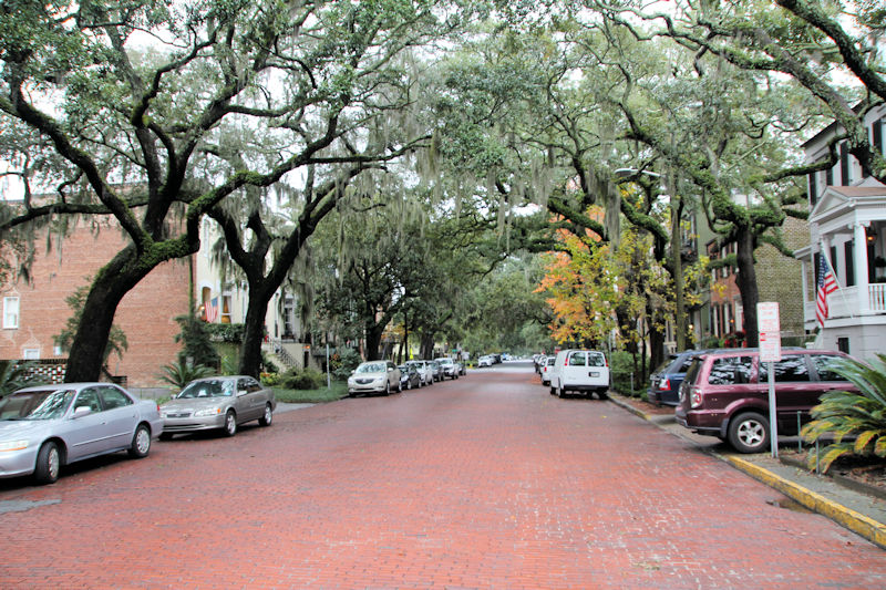 Savannah