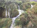 IMG_3612