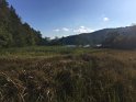 IMG_3652