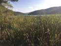 IMG_3657