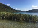 IMG_3660