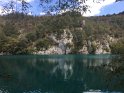 IMG_5204