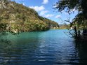 IMG_5237