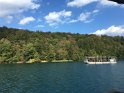 IMG_5256