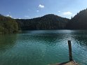 IMG_5259