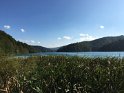 IMG_5267