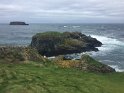 IMG_3921