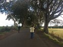 IMG_3954