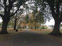 IMG_3988