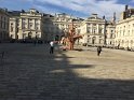IMG_4059