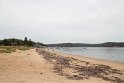 IMG_4151