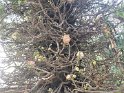 IMG20190302163832
