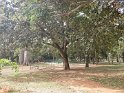 IMG20190303102202