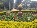 IMG20190303102829