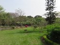 IMG_2113