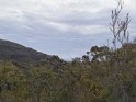 IMG_20191130_110506