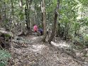 IMG_20191130_151252
