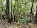 IMG_20191130_151256