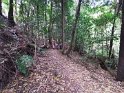 IMG_20191130_152407