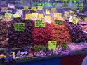 IMG_5664