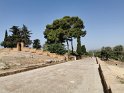 IMG_20190614_094314