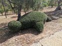 IMG_20190614_094923