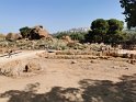 IMG_20190614_100748