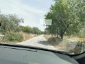 IMG_20190615_131327