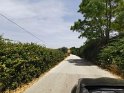 IMG_20190615_131614