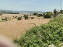 IMG_20190615_131729