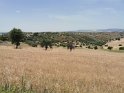 IMG_20190615_131746