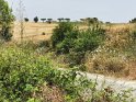 IMG_20190615_131807
