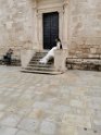 IMG_20190615_193405