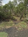 IMG_20190618_104026