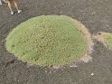 IMG_20190618_110904